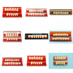 Prosthetics / Acrylic teeth