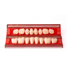 Gnathostar Side teeth Promotion
