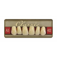 Wiedent Classic teeth, fronts 6 pcs. Promotion. Super Price Hits of the Month
