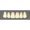 Wiedent teeth Classic fronts 6 pcs Super Price Promotion