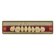 Wiedent Classic Teeth Sides 8pcs Promotion