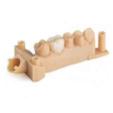 Resin for 3D printer Dental Model V2 1l