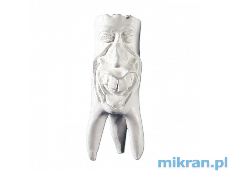 Hinrichs tooth collection ''Rudi'' plaster teeth