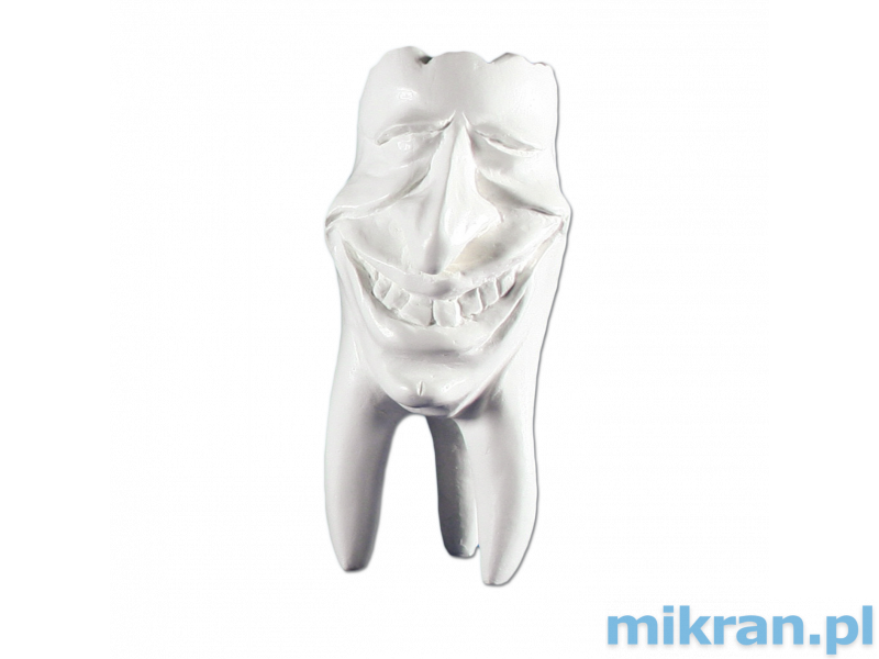 Hinrichs tooth collection 'Mike' plaster teeth