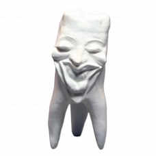Hinrichs tooth collection ''Marilyn'' plaster teeth