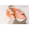 Viva Flex "LF" - 500 g package, full and partial dentures