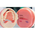 Ivotion Pink-V 98.5L / 38mm lower denture