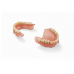 Formlabs resin Denture Teeth 1L