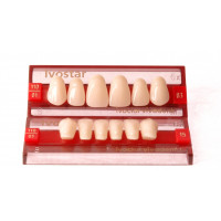 Ivostar Front teeth. Super Price. Hits of the Month