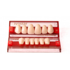 Ivostar Front teeth Promotion