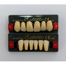 WIEDENT Estetic front teeth 6 pcs