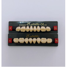 Side teeth WIEDENT Estetic 8 pcs