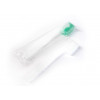 Disposable toothbrush with a portion of toothpaste 100 pcs