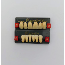 Anterior teeth WIEDENT Estetic acc. Vita 6 pcs