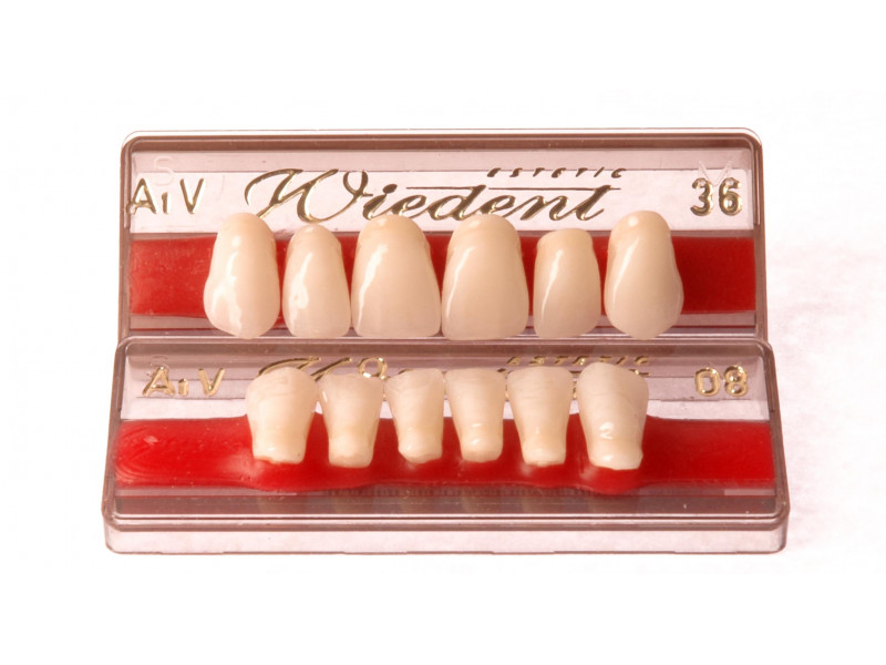 Front teeth WIEDENT Estetic acc. Vity 6pcs