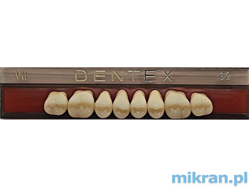 Dentex side teeth 8 pcs