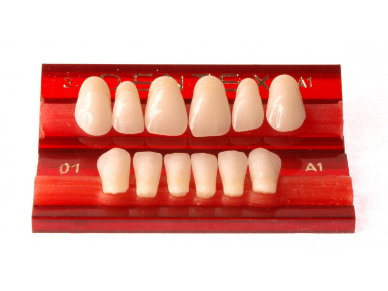 Front teeth Dentex 6 pcs