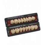 Phonares Type II posterior composite teeth. Available on request